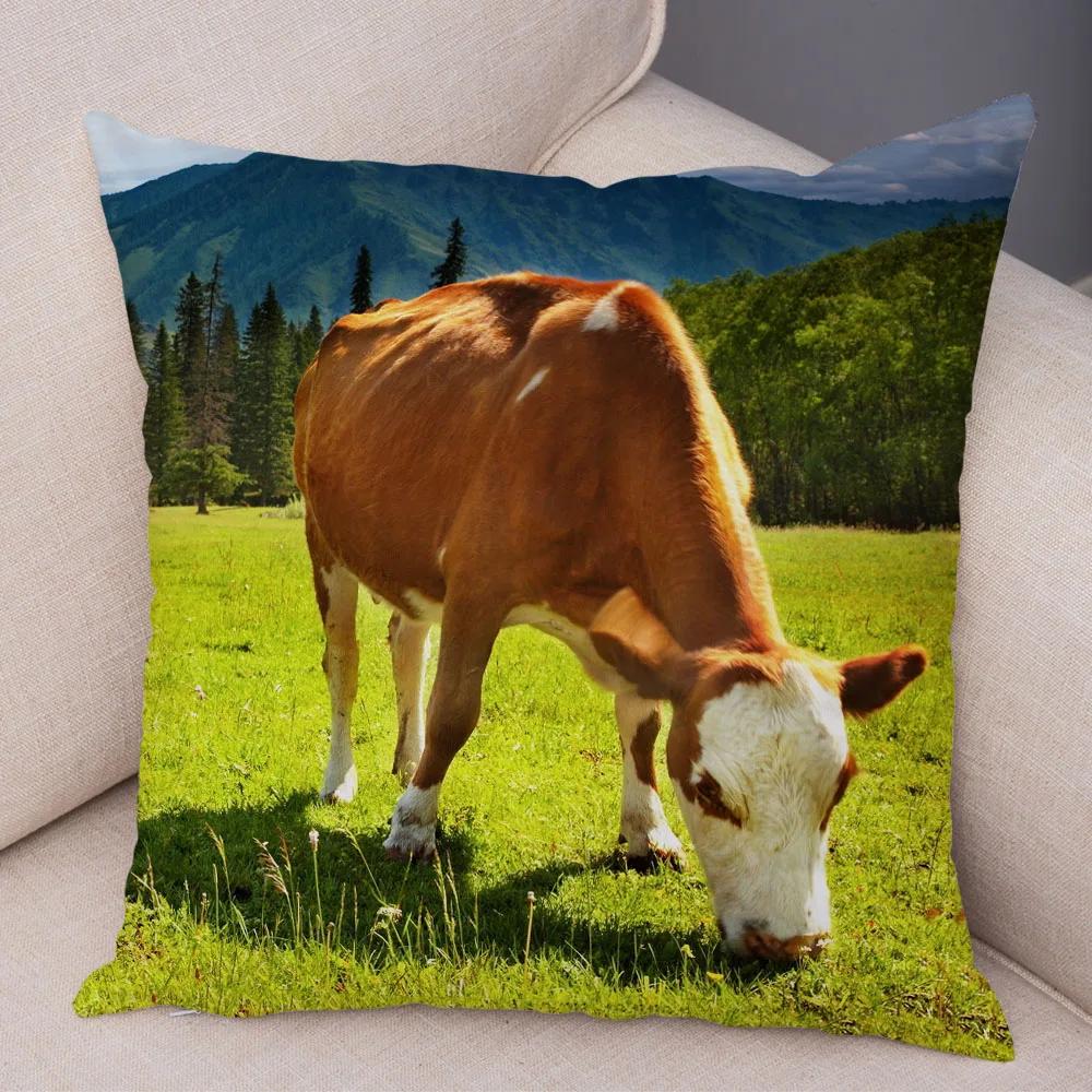 Scotland Kyloe Pillow Case Decor Wild Cow Colorful Animal Print Pillowcase Soft Short Plush Cushion Cover for Home Sofa 45x45cm