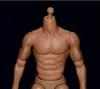 [TOYBARJAPAN] 16 Scale Action Figure ZCTOYS S005 Asian Male Body for Martial Artists, Jeet Kune Do, Etc. (Head and Clothes Not Included)