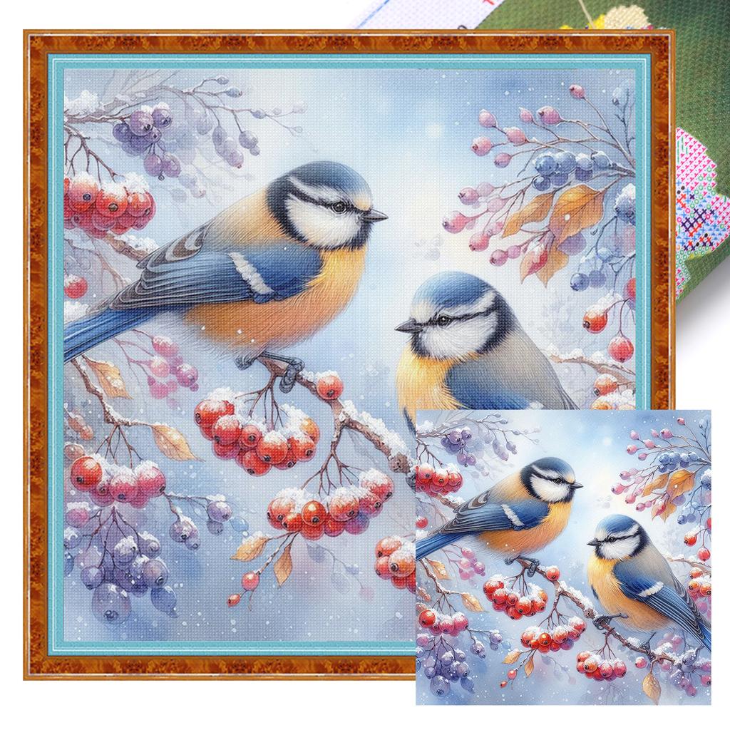 Robin Full 11CT DIY Stamped Needlework Embroidery Kit 40x40cm Printed Cross-Stitch Kits for Beginners Adults Home Decor