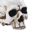 Crying Skull Taper Candle Holder Pillar Candles Candlesticks Cabinet Home Party Skeleton Statue