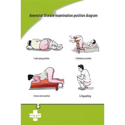 Human Anatomy and Disease Diagnostic Teaching Chart