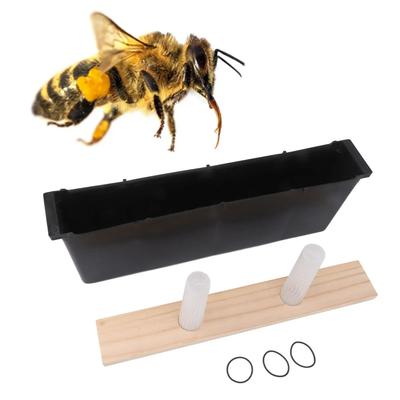 Insectos – Apicultura