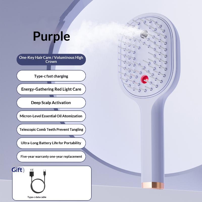 Electric Steam Brush With Water Spray Wet Electrics Hairbrush Usb-C Charging For Detangling Smoothing Styling & Frizz Control