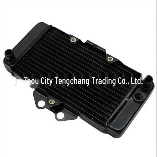 VTR250 Engine Radiator Water Tank Assembly