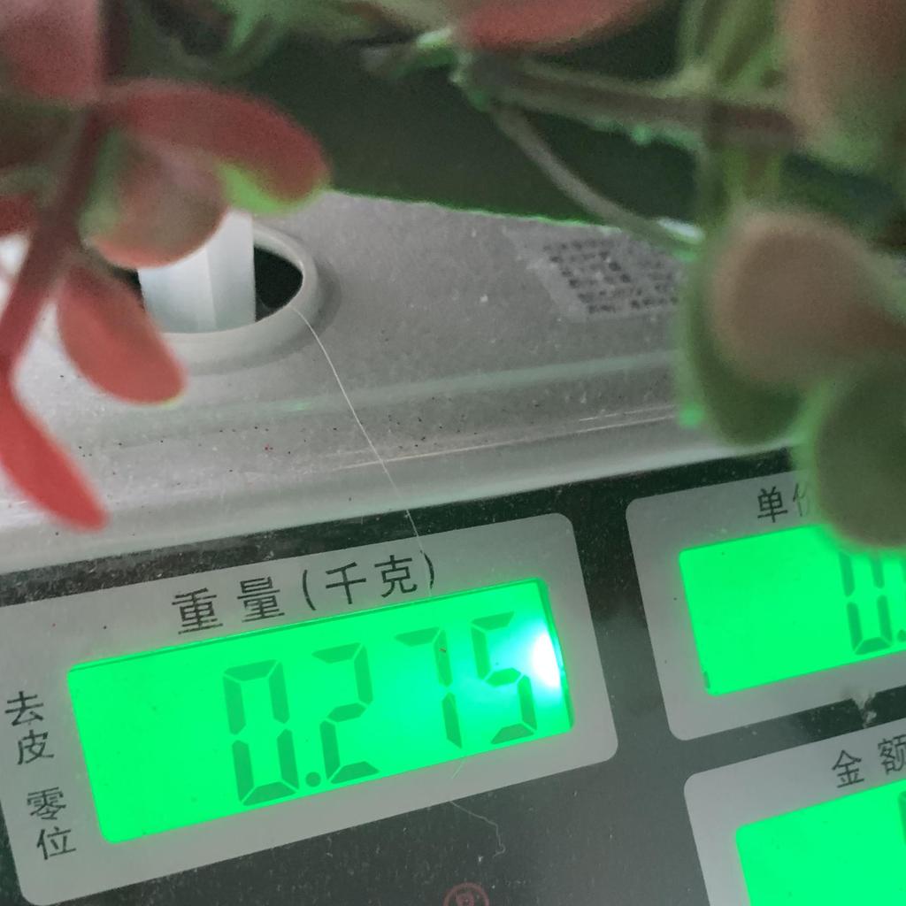 Christmas Simulation Green Plant Money Leaf Wreath Vine Ring Home Window Door Hanging Decoration 40cm