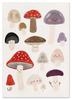 Poster for a Child Mushrooms
