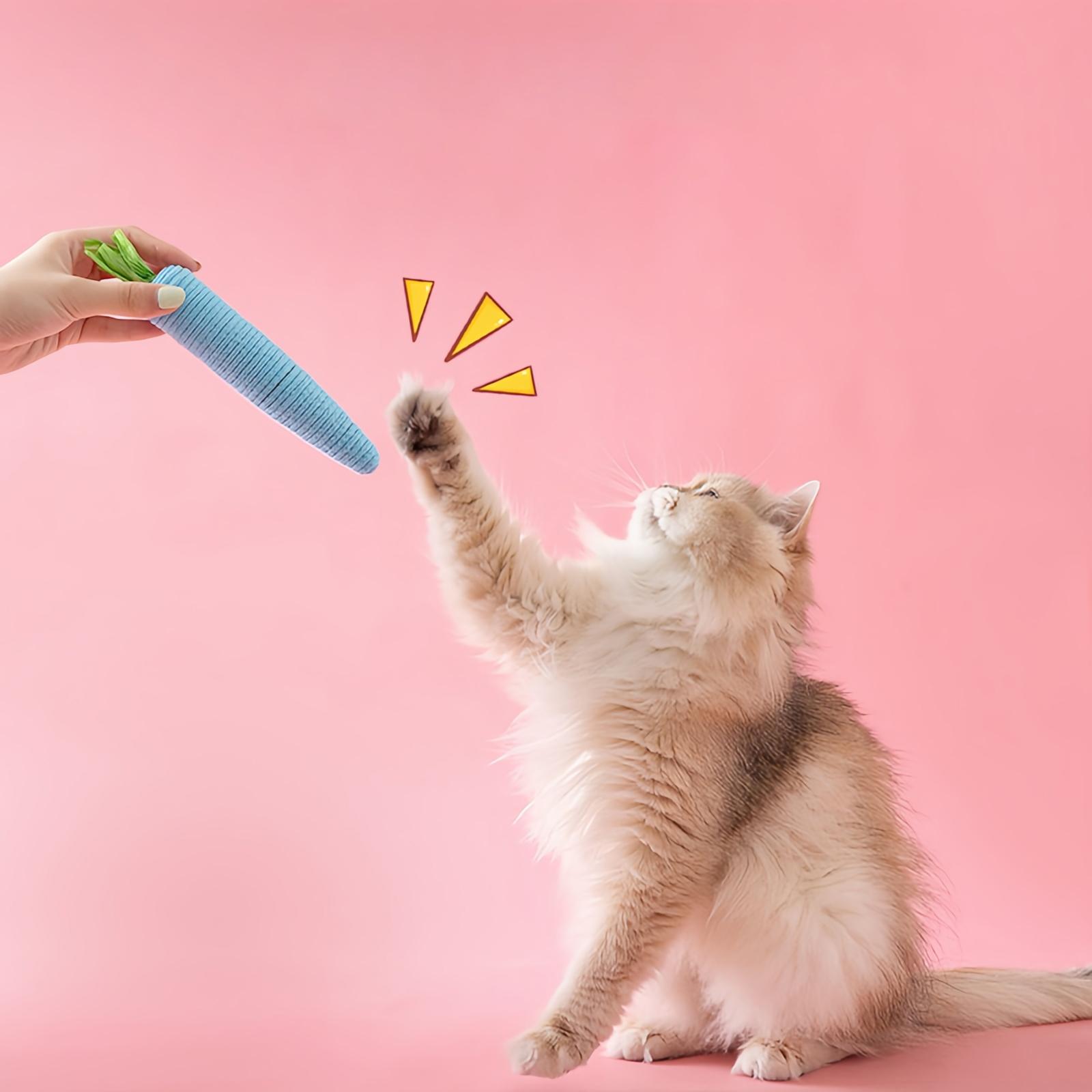 

Andiker Игрушки для жевания, 1 маленькая и 1 большая веревочные игрушки в форме моркови со звучащими посылками, интерактивные игрушки для комнатных собак и котят для кусания и жевания Ke One Size синий