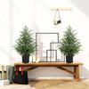 Artificial Norfolk Pine Tree Real Touch Faux Potted Christmas Tree for Entryway Living Room Office Apartment Holiday Indoor Outdoor Decoration