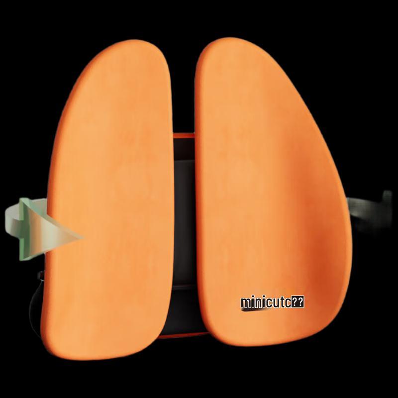 Miqiao Ergonomic Lumbar Support Back Cushion