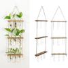 Wall Hanging Hydroponic Plants Terrarium Container with Wood Frame Glass Test Tube Vase Flower Bud Vase for Home Office Decor