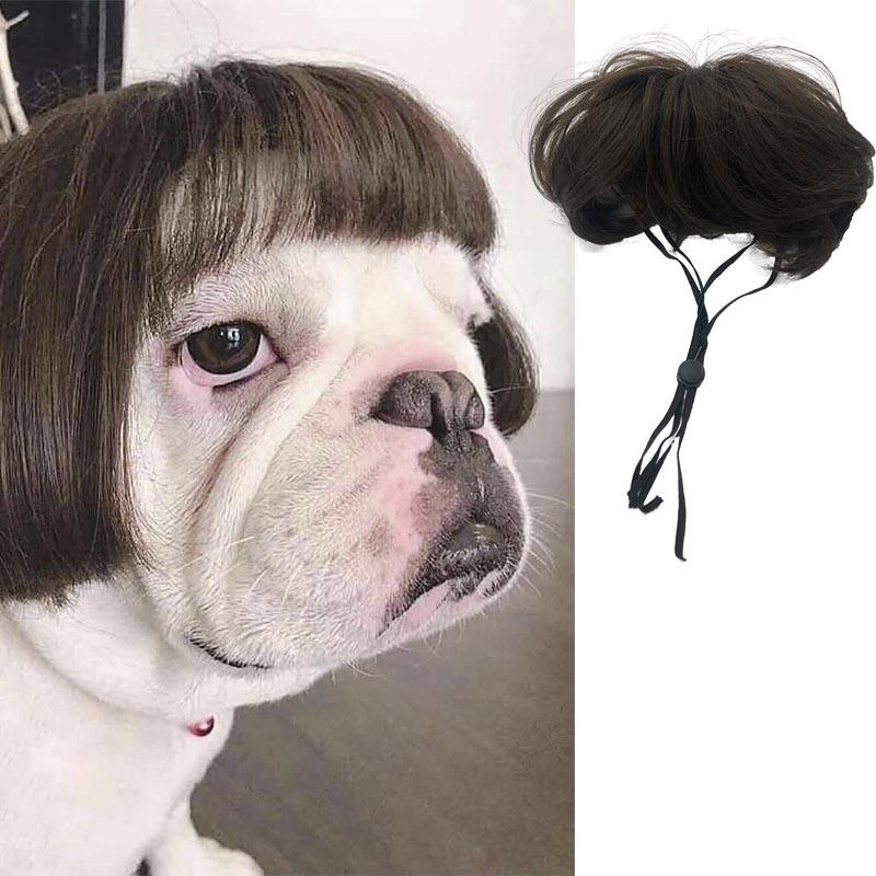 Lustige Hunde-Katzen-Cosplay-Perücke für kleine Hunde, Kopfbedeckung, Cosplay-Kostüm-Accessoires, Haustierperücken für Halloween, Heiligabend, Festival-Party-Dekoration