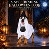 Dog Costume Set with Draped White Garment, Black Pointed Hat, Candy Bucket, and Structure Without Ties or Zippers