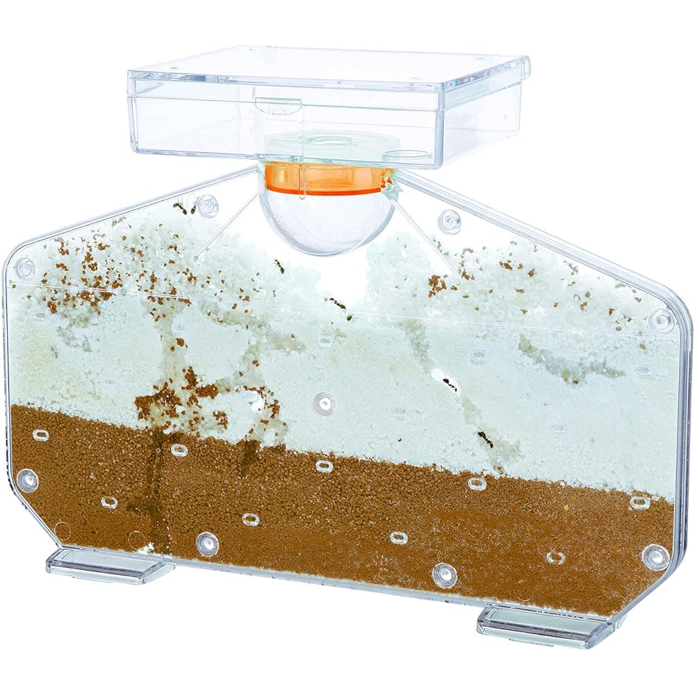Gakken Science and Learning Ant House Playset for Ages 6 and Up Educational Toy