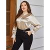 Plus Size Women’s Satin Long Sleeve Top - European & American Style