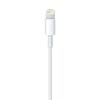 Apple | Male | 4 Pin Usb Type A | Male | Apple Lightning | 2 M