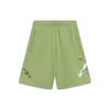 Li Ning Sports Life Collection Sports Shorts Women's Green Moderate A Line AKST664-3