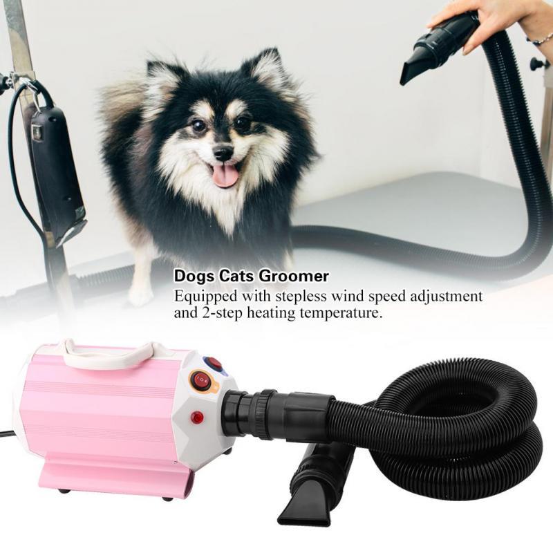 force dryer for dogs