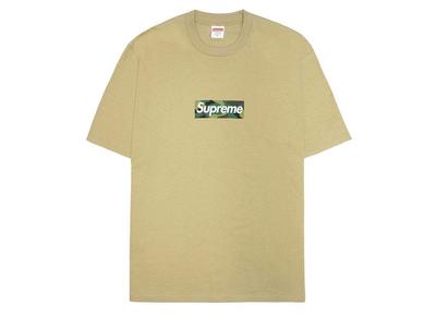 Supreme T-shirt z logo box Khaki (23FW)