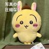 Unused Item Pompompurin Chikawa Collaboration Rabbit Stuffed Toy Mascot