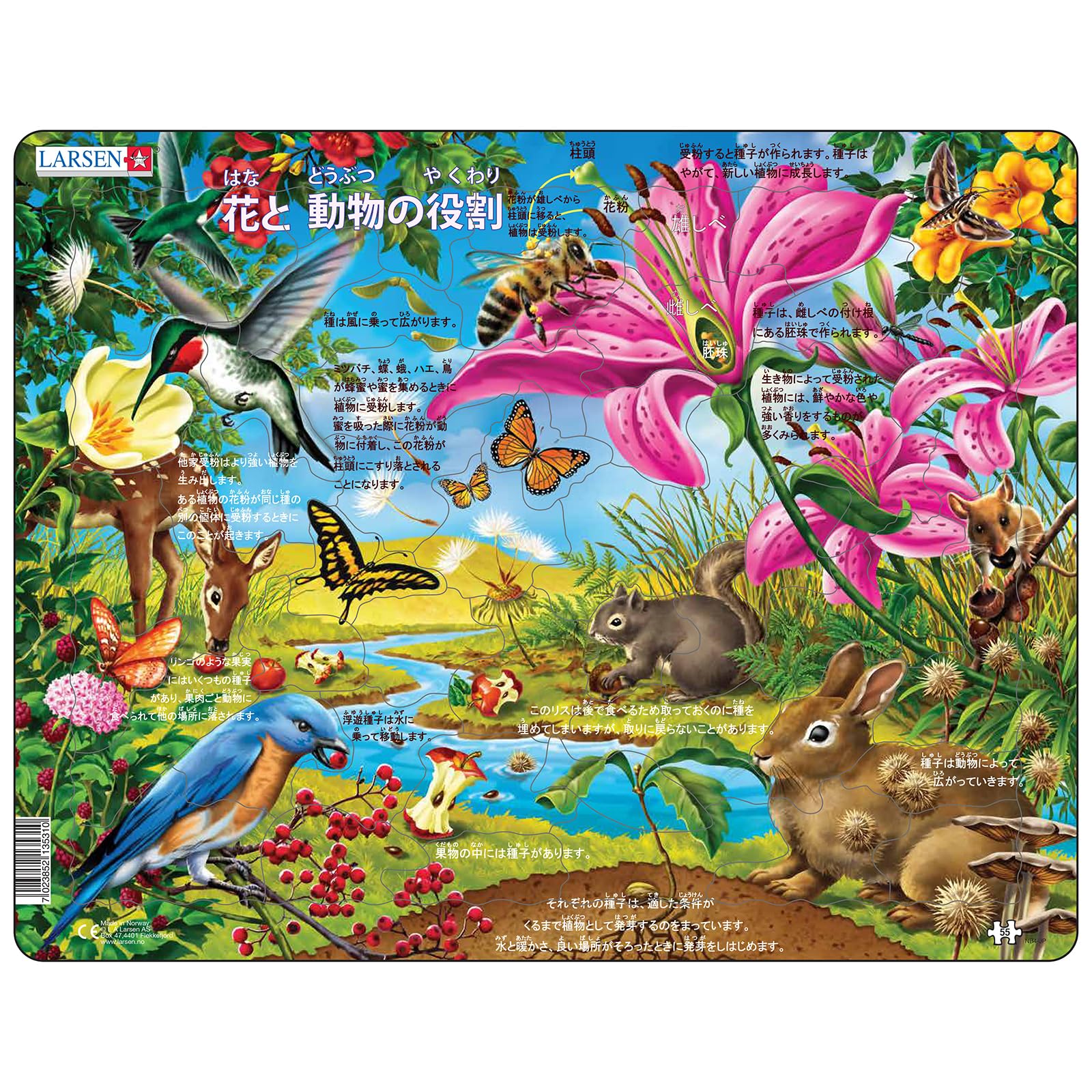 

LARSEN Flower & Bee (Japanese Edition) 55-Piece Paper Jigsaw Puzzle: Plants, Biology, Ecosystems, Pollination, Nature, Science, Ages 6 and Up, Boys,
