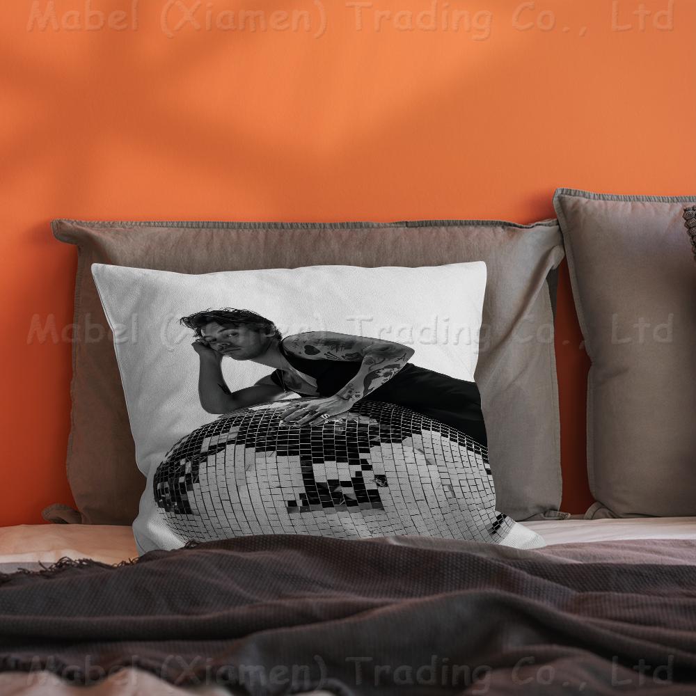 Sänger H-Harrys S-Styles Personalisierte Bildtext Heimdekorationskissen Haushaltsgeschenke 45x45cm