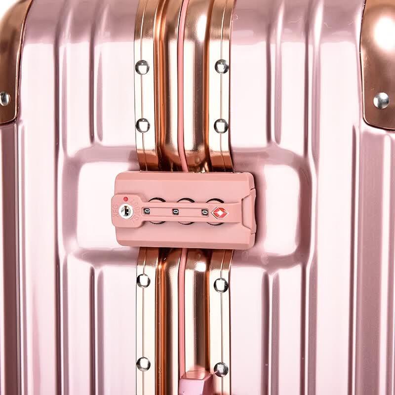 Fancy Journey H1510 ABS&PC Aluminum Frame Spinner Luggage