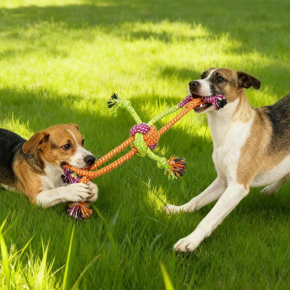 New Bite-Resistant Dog Interactive Knot Green Orange Cotton Rope Dog Chew Chewable Rope Fringes Rope Dog Rope Knotting Dog