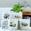 Elegant White Ceramic Flower Pot with Tray - Ideal for Ivy, Spider Plants, and Succulents