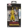 Hasbro MARVEL Legends Series Wolverine, Marvel Studios Deadpool & Wolverine (Battle Damaged Suit) 15 Cm Collectible Action Figure G2365 Authentic