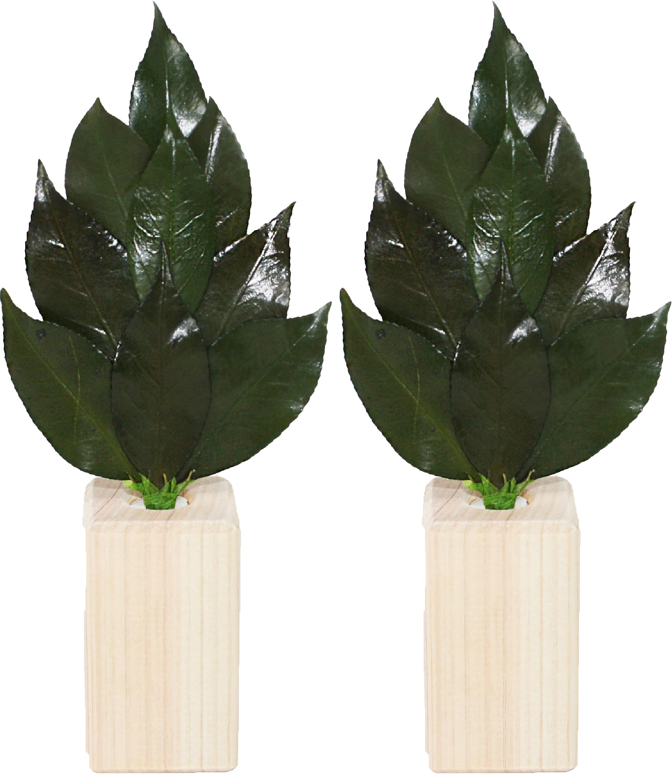 

A&K [Мини-набор подставок Сакаки Сакаки] Сделано из японского кипариса (Hinoki) - Искусственные цветы не используются.. Засушенное Сакаки (Изготовлено из высококачественного