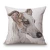 Hand Painting Dog Posters Cushion Cover Greyhound Bull Terrier Labrador Animals Portrait Pillowcase Decorative Pillows For Sofa