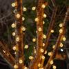 LED Solar String Lights: Cherry Blossom & Bubble Ball Decor for Outdoor Camping & Courtyard