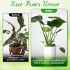 Plant Stem Support for Indoor Outdoor,16pcs Plastic Monstera Plant Support,4 Sizes Reusable Plant Stabilizer for Climbing Plants, Ivy, Roses, Pothos