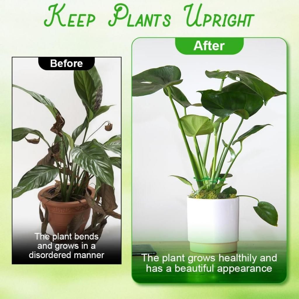 Plant Stem Support for Indoor Outdoor,16pcs Plastic Monstera Plant Support,4 Sizes Reusable Plant Stabilizer for Climbing Plants, Ivy, Roses, Pothos