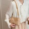 Fashionable Stylish Woven Straw Women's Bag 2026 New Trendy Chain Handbag Simple Shoulder and Crossbody Small Bag
