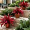 Decorative Branches for Terraces Artificial Fall Fern Plants, 18 Heads Autumn Orange Fake Persian Marine Theme Landscape Decorations Greenery Bushes,
