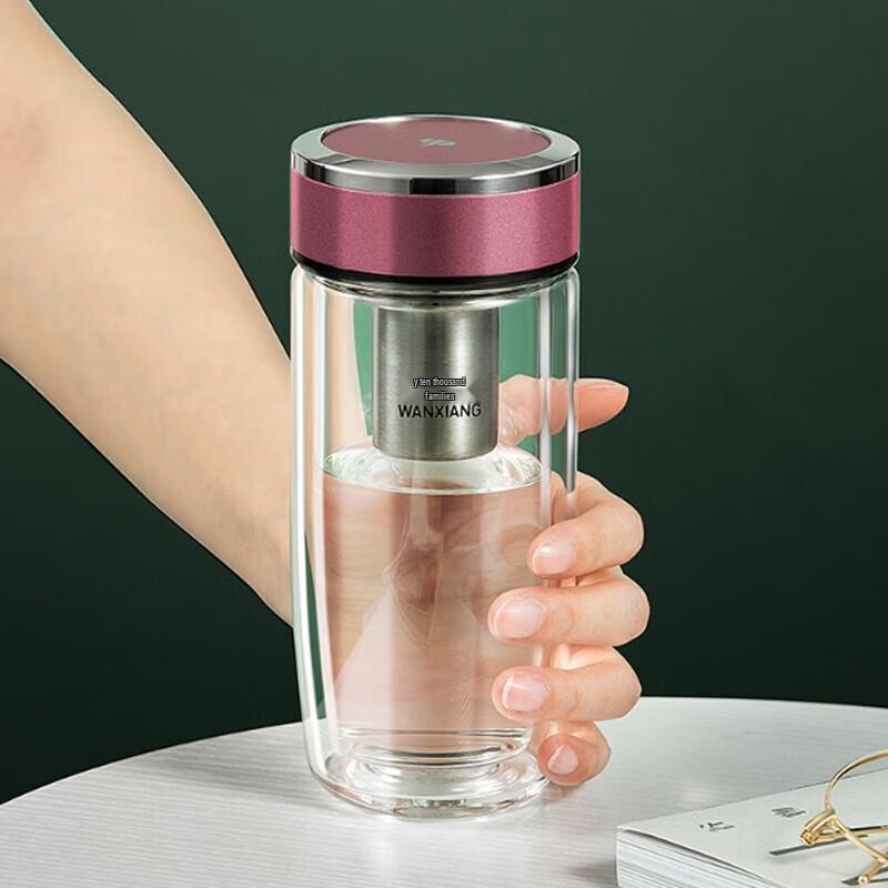 Portable Double-Layer Glass Tea Infuser Mug