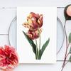 Tulip Flower Vintage Poster