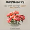[DAENG GI MEO RI] Dlae Soo Shampoo 500ml