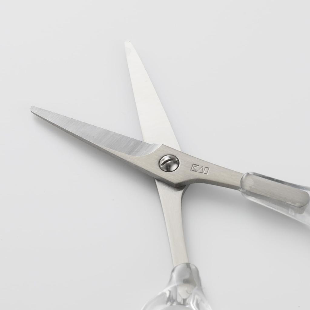 Kai Corporation Hair Cutting Scissors S KQ3025