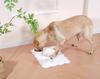 Kaseremy Pet Feeding Mat for Cats and Diatomaceous Cute Easy to Clean 40 x 60 Dogs, Earth, Non-Slip, Placemat, Absorbent, Quick-Drying, Asbestos-Free,