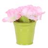 Cute Mini Solid Color Pail Bucket Wedding Party Candy Favours Home Hotel Decor