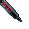 Mitsubishi Pencil Water-based Pen Procky Twin 12 colors PM150TR12CN