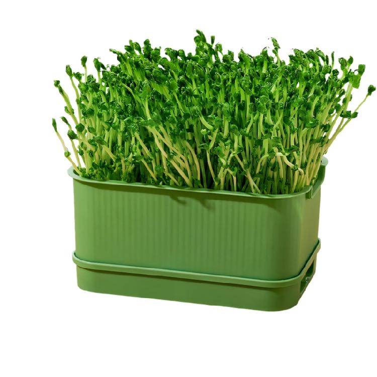 Modern Hydroponic Planter Box Bean Sprouter With Lid Cultivation Germination Tray For Bean Pea Wheatgrass Growing Plant