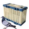 Kombinierbarer Plastik Taubenkäfig Träger Tauben Freilass Training Käfig Einzelkäfig Für Wellensittich Papagei Transport Training Freilass