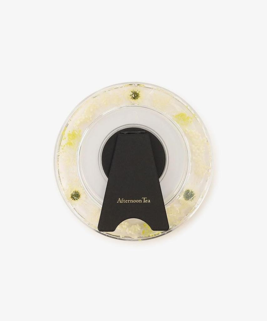 Afternoon Tea Living HR33 Botanical Mirror, Pink