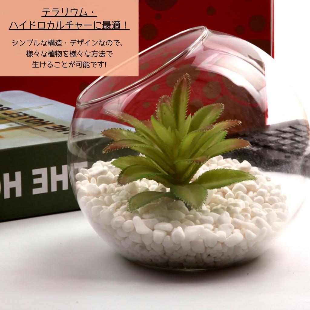 [S.T.S.G] Glass Terrarium Planter Hydroponics Pot, Round, Stylish Interior Display, Cute Plants (Set of 3, Extra Small, Small, and Medium)