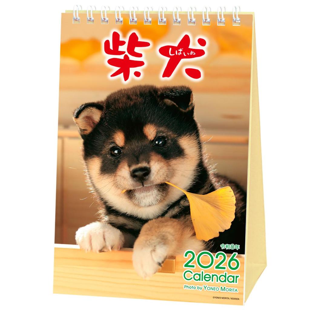 Active Corporation 2026 Desk Calendar by Morita Featuring a Shiba Inu Starting In January 2026 Yoneo, (26ACL-543),