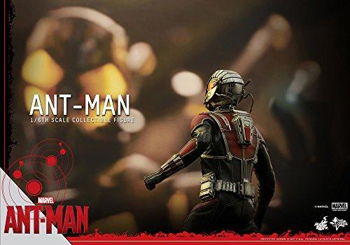Movie Masterpiece Ant-Man 1/6 Scale Plastic Painted Movable Figure