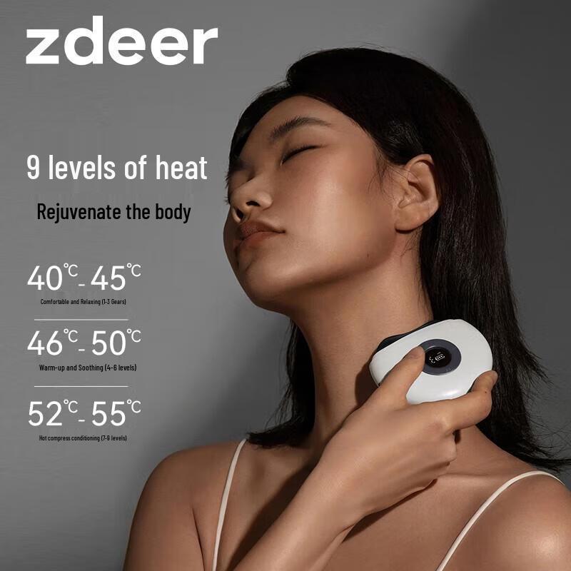 Zuodian Mini Bian Stone Electric Guasha Massager